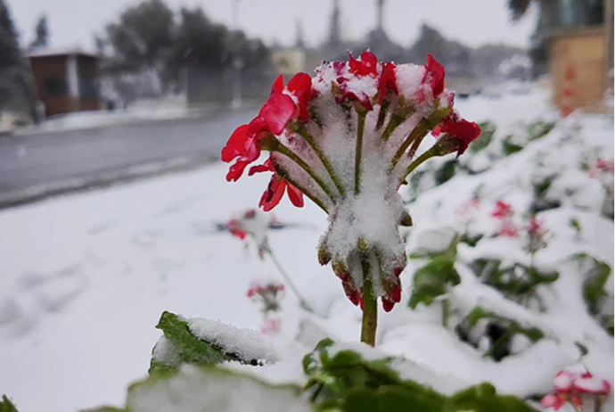 Bəzi rayonlara yağış - dağlıq ərazilərə qar yağıb  | FED.az