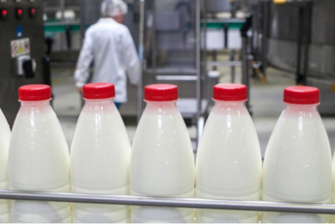 Azərbaycanın "Atena" və "Milla Dairy" şirkətləri Özbəkistanda süd məhsulları istehsal edəcəklər | FED.az