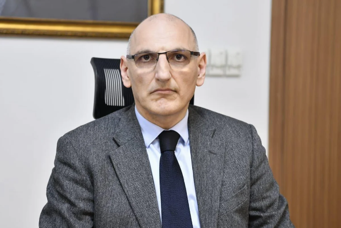 Elçin Əmirbəyov: "Azərbaycan qazının Aİ ölkələrinə ixracının ikiqat artırılması mümkündür" | FED.az