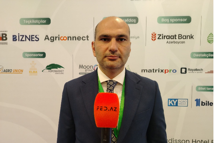 “Biznesin İnkişafı Fondu yatırım etdiyi şirkətlərdə 10 ilədək payçı qala bilər” - MÜSAHİBƏ