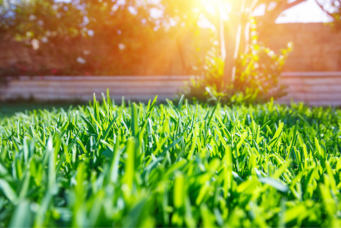 Aqrar sığortadada ödənişlər 60% artıb | FED.az