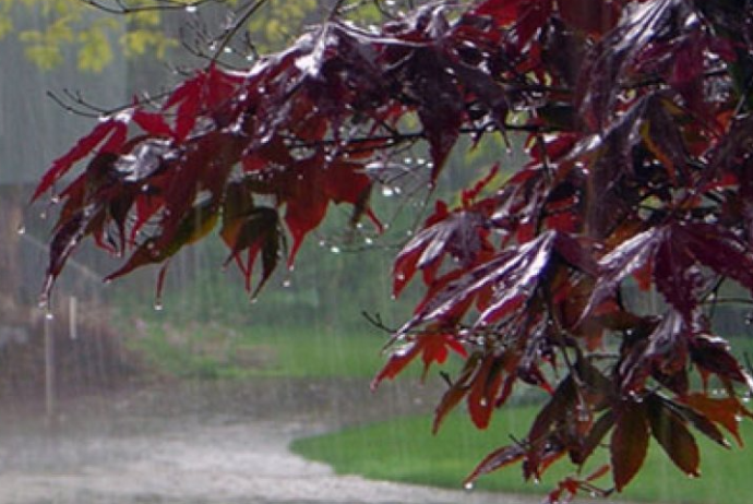 Bəzi yerlərə yağış yağıb - FAKTİKİ HAVA | FED.az