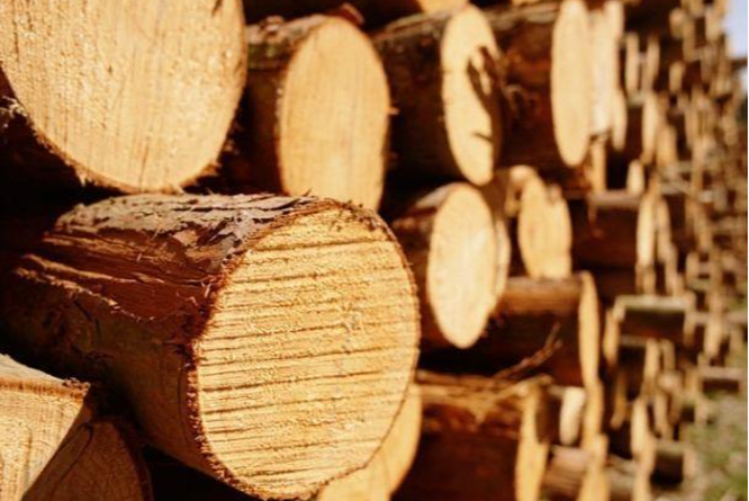 Azərbaycan ötən  il 382 milyon dollarlıq oduncaq və oduncaq malları alıb | FED.az