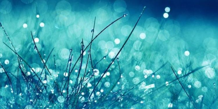 Sabaha olan HAVA MƏLUMATI | FED.az