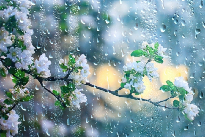 Yağış yağacaq - BAZAR GÜNÜNÜN HAVA PROQNOZU | FED.az