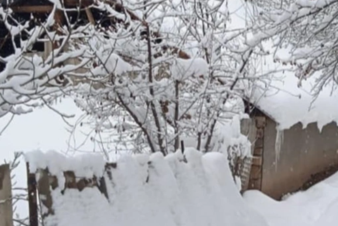 Şahbuzda qarın hündürlüyü 43 sm-ə çatıb - FAKTİKİ HAVA | FED.az