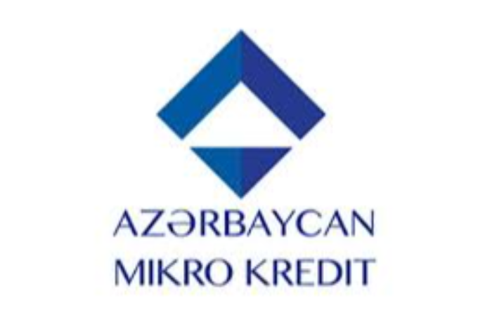 Активы и кредитный портфель «Азербайджан Микро-Кредит» сократились – ОТЧЕТ | FED.az