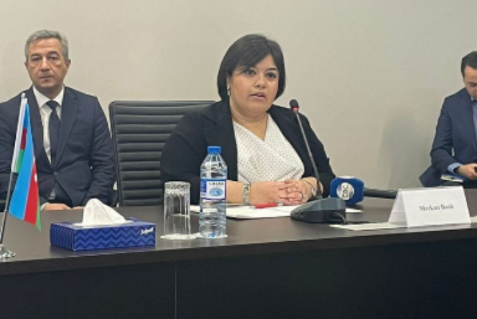 Umeyra İbrahimova : "Xarici investorlar Azərbaycanın kapital bazarına daxil olmaqda sərbəstdirlər" | FED.az