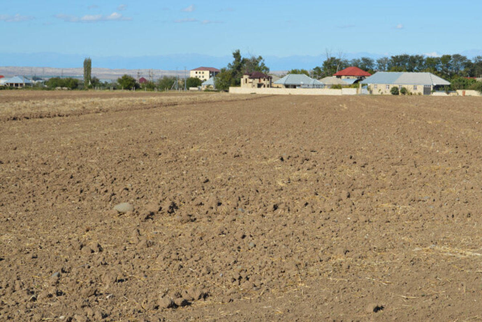 Parlamentdə torpağın saxta sənədlər əsasında alqı-satqısı problemi qaldırılıb | FED.az
