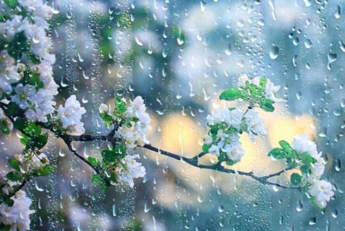 Rayonlara yağış yağacaq - SABAHIN HAVA PROQNOZU | FED.az