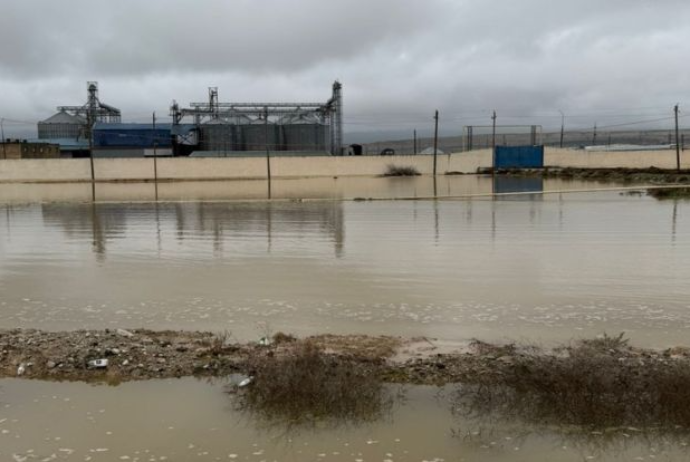 "Sitalçayda acınacaqlı vəziyyət - quşçuluq təsərrüfatları fəaliyyətlərini dayandırmaq üzrədilər" - FOTOLAR | FED.az