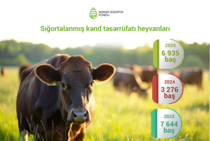 Azərbaycanda sığortalanan kənd təsərrüfatı heyvanlarının sayı 2 dəfə artıb | FED.az