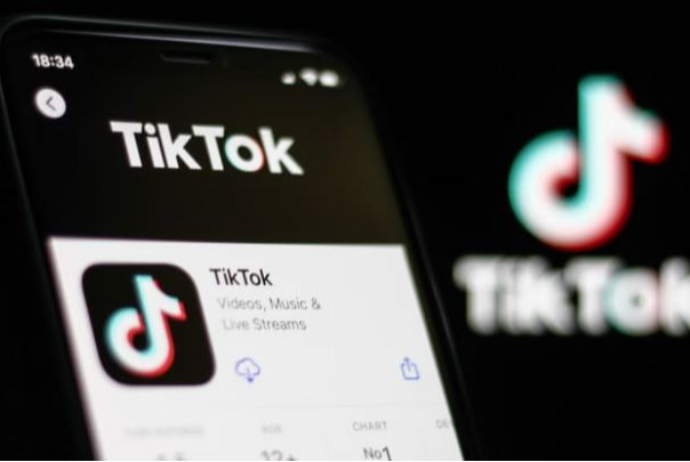 Azərbaycanda qaydaların pozulmasına görə ötən il 3,6 milyon video "TikTok"dan silinib | FED.az