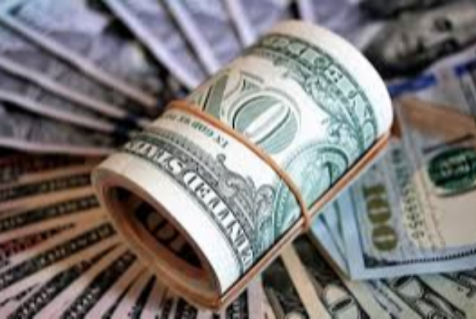 Finlandiyadan Azərbaycana investisiyalar 31 dəfəyə yaxın artıb | FED.az