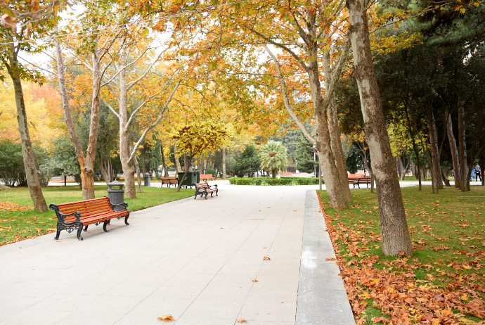 20 dərəcə isti - SABAHIN HAVA PROQNOZU | FED.az