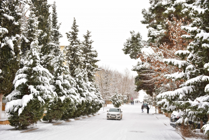 Azərbaycanda çovğun müşahidə edilir - HAVA PROQNOZU | FED.az