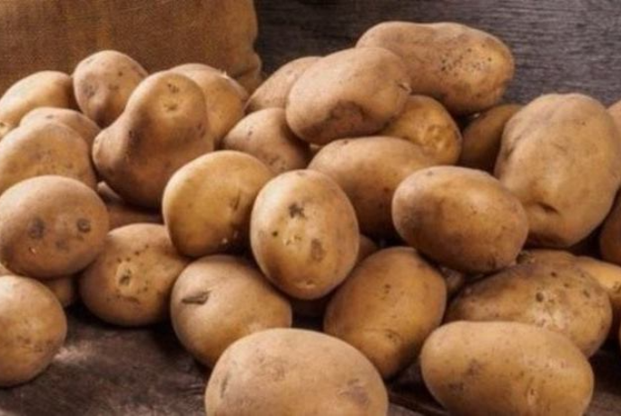 Kartof ixracı həcmcə 50%, dəyərcə 40% artıb | FED.az