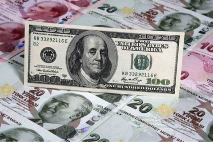 Türkiyədə dollar sürətlə bahalaşır – REKORD VURDU | FED.az