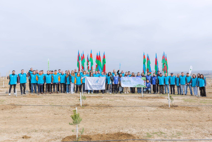 Сотрудники AZAL посадили более 600 деревьев в рамках «Года солидарности во имя зеленого мира» — ФОТО, ВИДЕО | FED.az