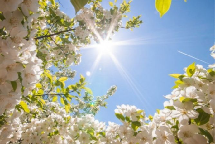 Bir ay sonra Azərbaycana yaz gələcək | FED.az