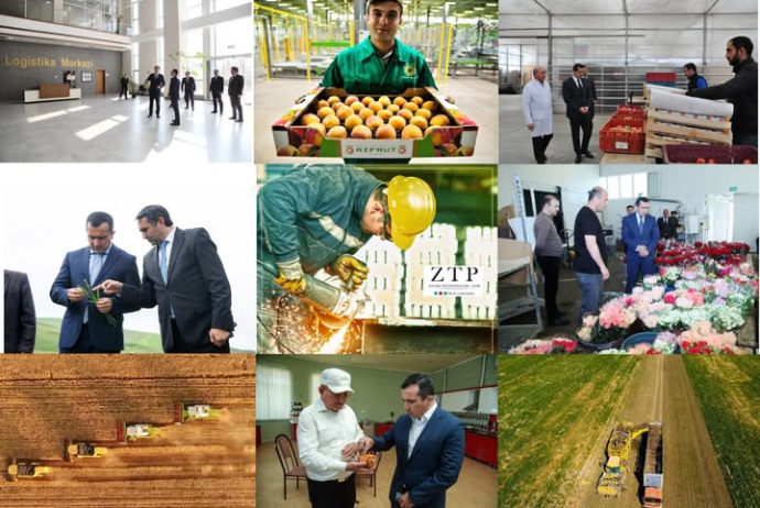 Şəmkir kənd təsərrüfatı məhsullarının həcminə görə ölkənin ən çox  böyük aqrar rayon statusunu qoruyub saxlayıb | FED.az