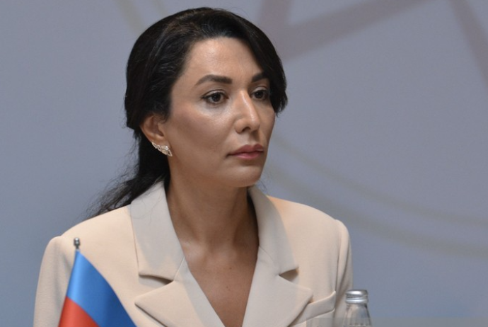 Ombudsman özünə daha iki səlahiyyət verilməsini istəyir | FED.az