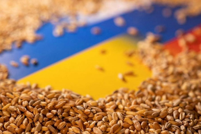 “Taxıl sazişi” çərçivəsində Ukraynadan 32 milyon ton məhsul - İXRAC OLUNUB | FED.az