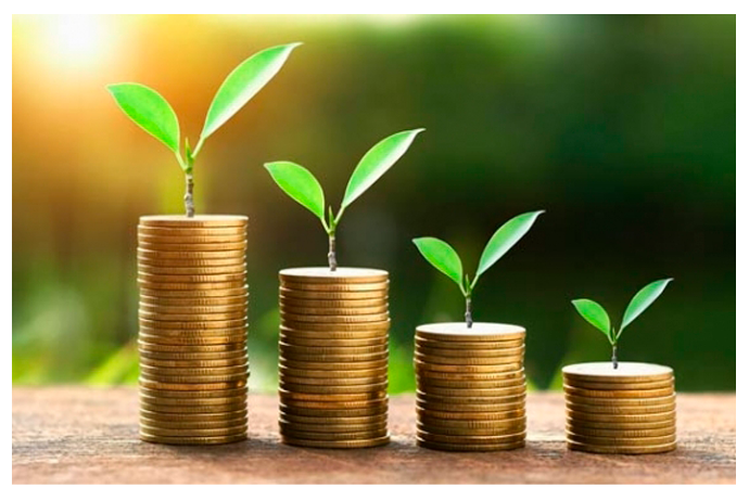 13 bankda şirkətlərin pulları artıb | FED.az