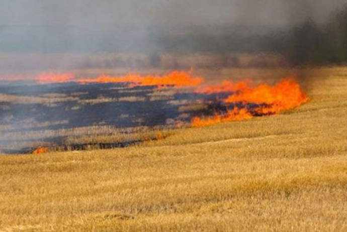 Əkin yerini yandıranları cərimə və həbs edəcəklər - YENİ QAYDA | FED.az