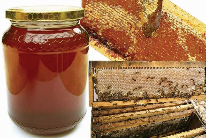 Ötən il Azərbaycanda 5 min tona yaxın bal əldə olunub - ARI AİLƏLƏRİNİN SAYI AZALIB | FED.az