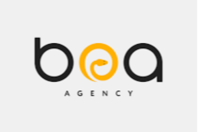 "BOA Agency"-nin vəziyyəti - MƏLUM OLDU - HESABAT | FED.az