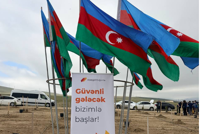 “Atəşgah” Sığortadan ağacəkmə aksiyasına - DƏSTƏK | FED.az