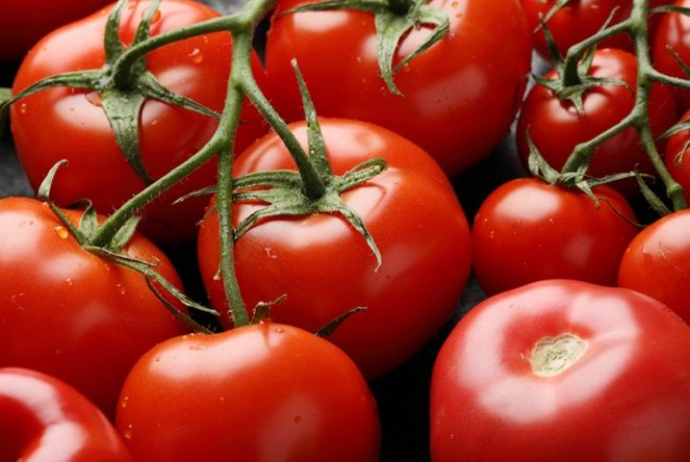 Azərbaycanın pomidor ixracçıları - $149 MİLYON QAZANIB | FED.az