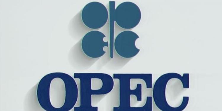OPEC: Neft bazarında balans gələn il bərpa olunacaq | FED.az