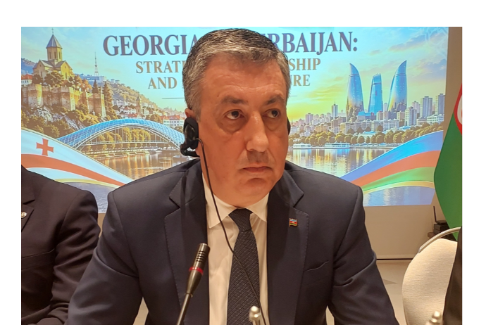 Səfir: Azərbaycan və Gürcüstan arasında ticarət dövriyyəsinin 2 milyard dolları keçməsi hədəflənir | FED.az