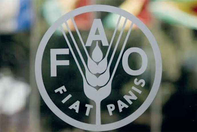 FAO: Qlobal ərzaq qiymətləri - 8-22% ARTA BİLƏR | FED.az