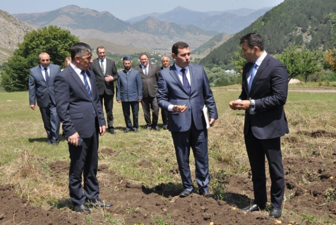 "Gədəbəy kartofu sortları tamamilə aradan çıxa bilər. Yarım milyon tona yaxın yun qırxılıb, çölə atılıb" | FED.az