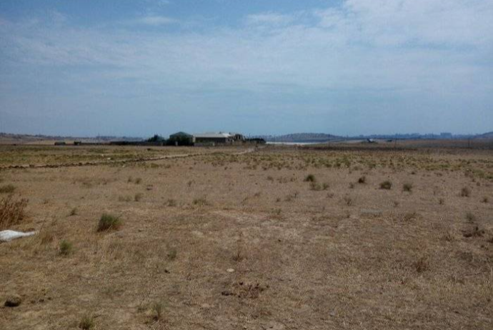 Azərbaycanın bölgələrində torpaqlar satışa çıxarılır – SİYAHI, QİYMƏTLƏR | FED.az