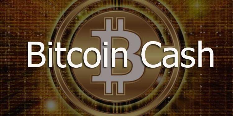 Bitcoin Cash sürətlə bahalaşır – QİYMƏT | FED.az