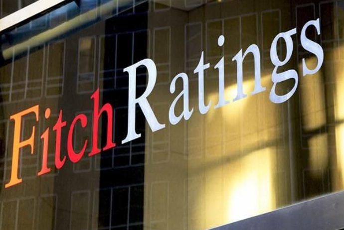 "Fitch": Azərbaycanın sığorta sektoru inkişaf edir, lakin hələ tam formalaşmayıb | FED.az