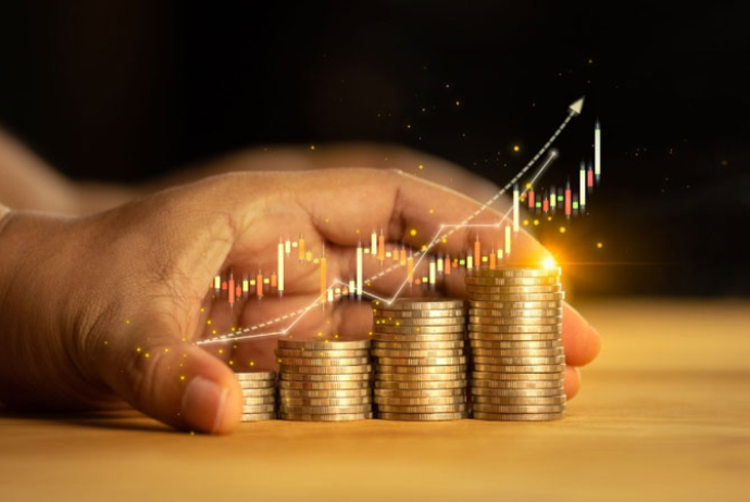 Azərbaycanın sığorta şirkətlərinin investisiya gəlirləri 115 milyon manata çatıb | FED.az