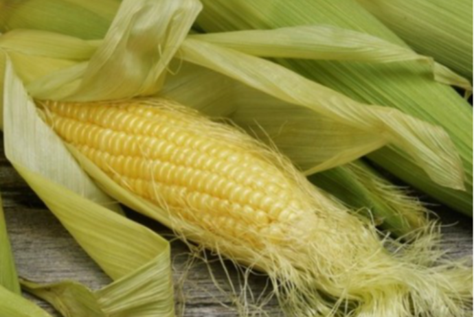 Xaricdən qarğıdalı alışı kəskin azalıb | FED.az