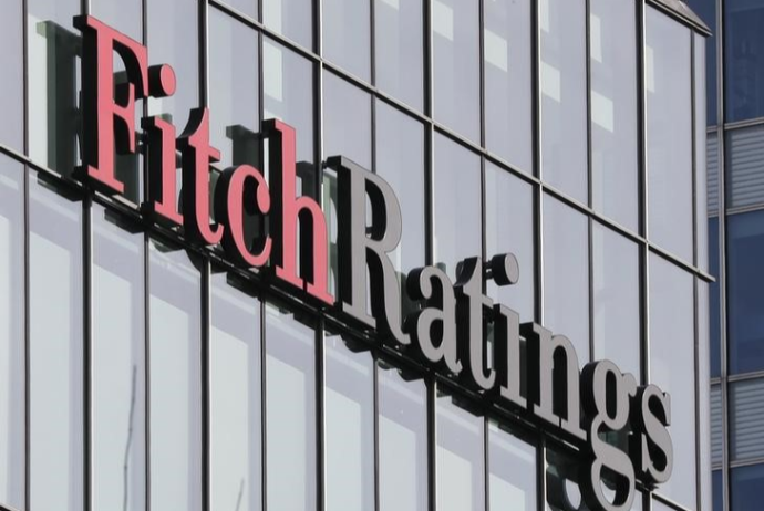 Fitch за полгода понизило 33 суверенных рейтинга | FED.az
