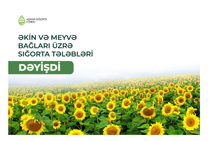 Azərbaycanda fermerlər üçün sığorta qaydaları dəyişdi – 3 MÜHÜM YENİLİK | FED.az