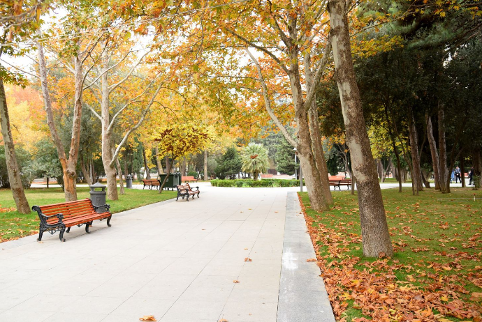 21 dərəcə isti - SABAHIN HAVA PROQNOZU | FED.az