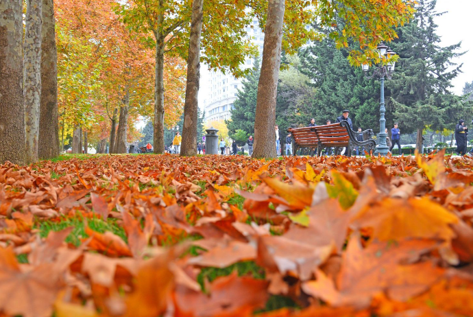 Oktyabrın son gününün - HAVA PROQNOZU | FED.az