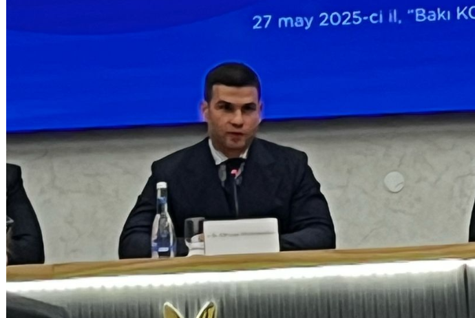 "Yaşıl texnologiyalar sahəsində innovativ təşəbbüslərin dəstəklənməsi prioritet olmalıdır" | FED.az