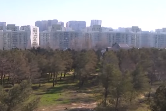 Yasamaldakı meşəlikdə bina tikiləcək? - VİDEO | FED.az