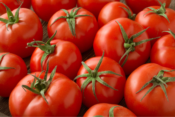 Ötən 9 ayda pomidor satışından 124 milyon manatdan çox gəlir əldə olunub | FED.az