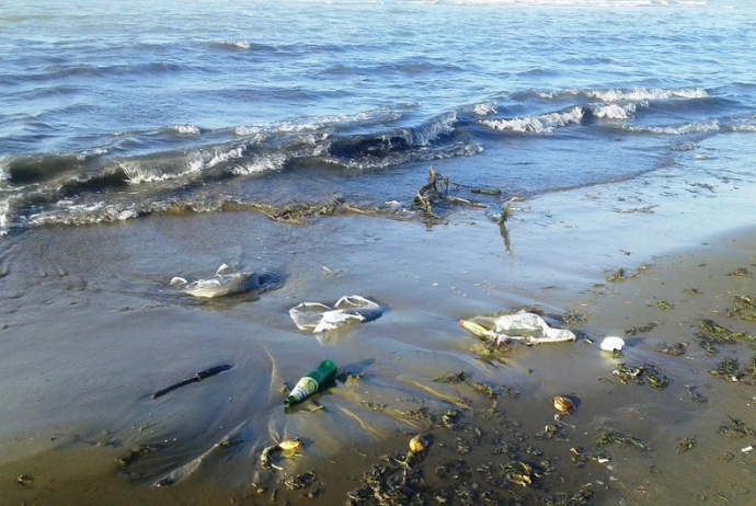 Dünya Bankı Xəzər dənizi ilə bağlı regional ekoloji layihəni maliyyələşdirir | FED.az